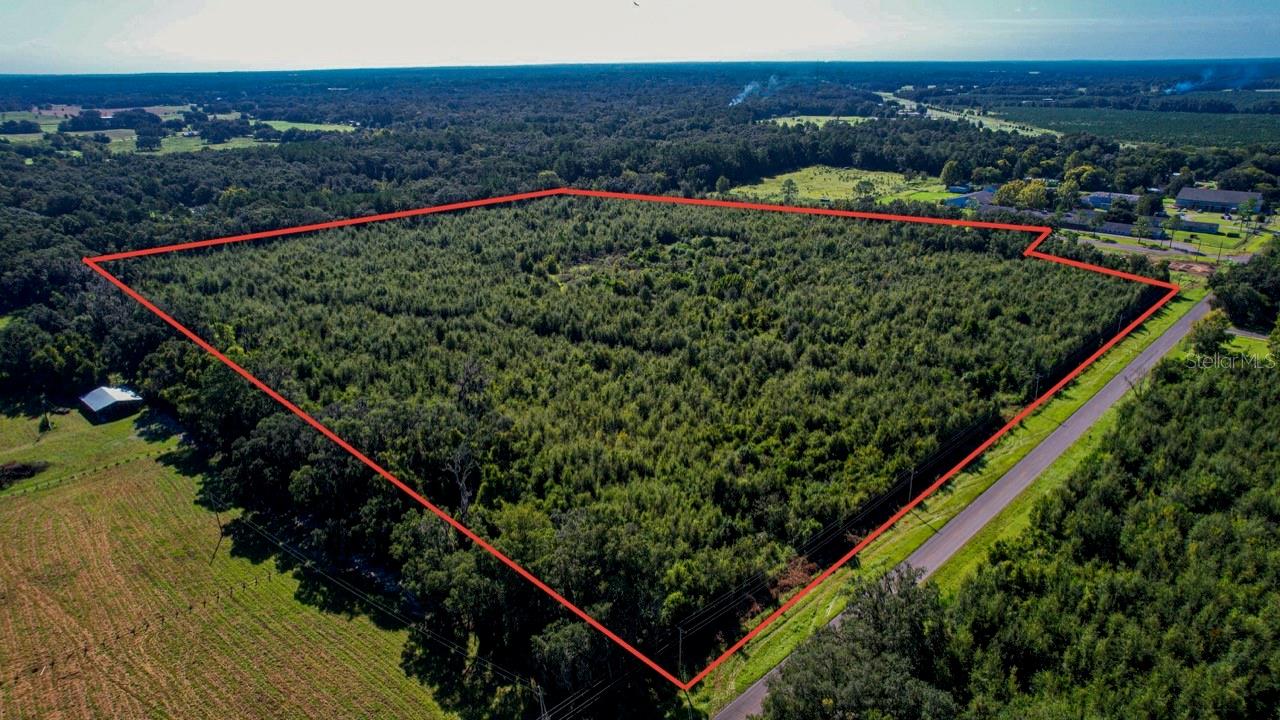 205 AVE NE, WILLISTON, FL, 32696