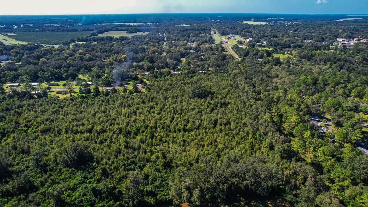 205 AVE NE, WILLISTON, FL, 32696