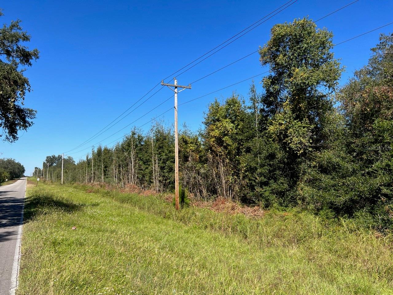 205 AVE NE, WILLISTON, FL, 32696