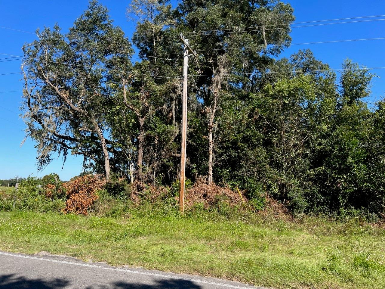 205 AVE NE, WILLISTON, FL, 32696