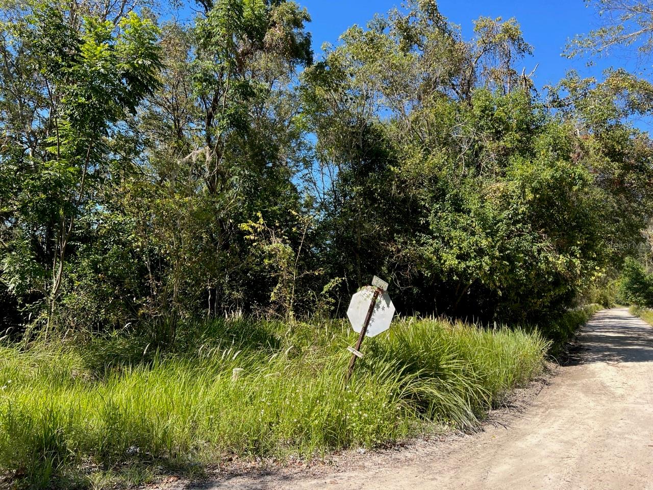 205 AVE NE, WILLISTON, FL, 32696