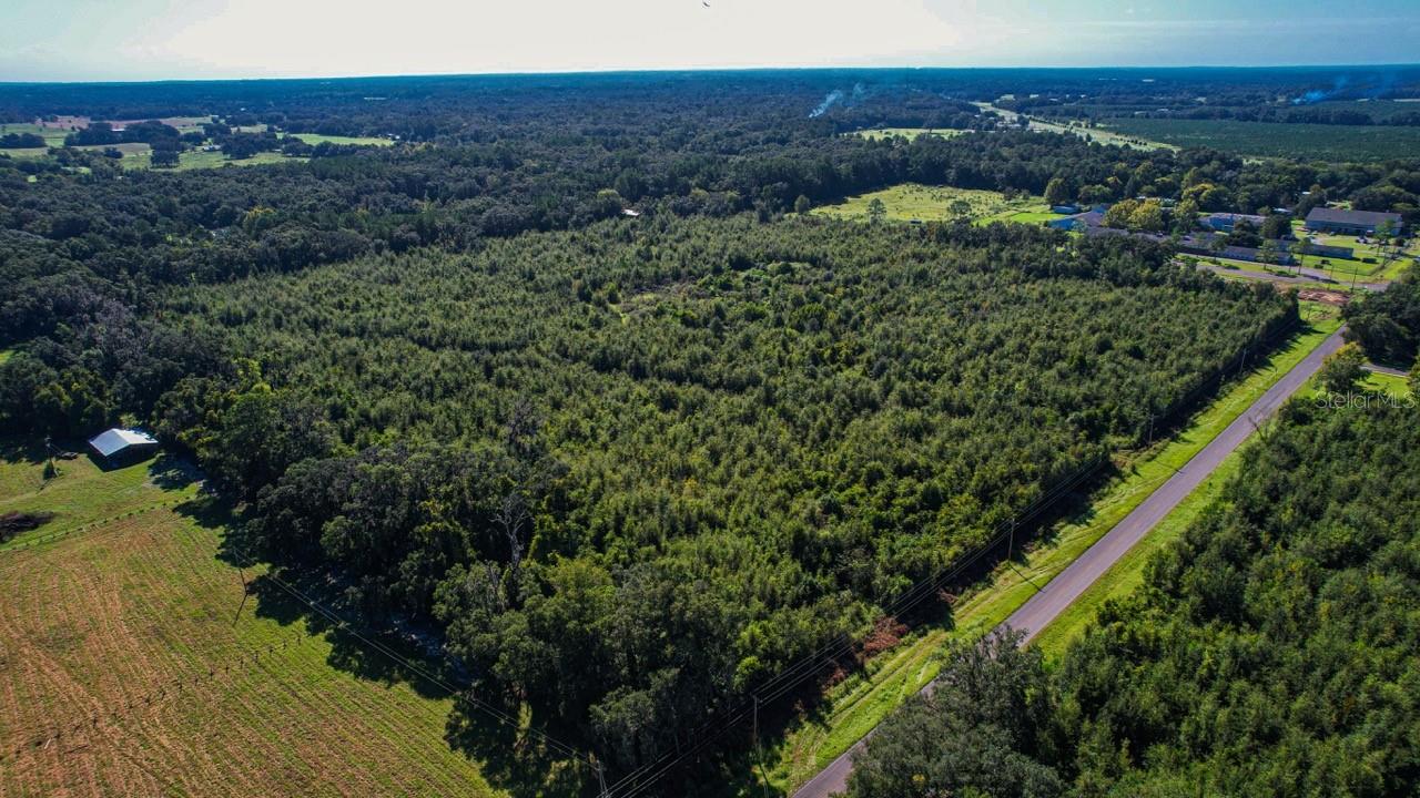 205 AVE NE, WILLISTON, FL, 32696