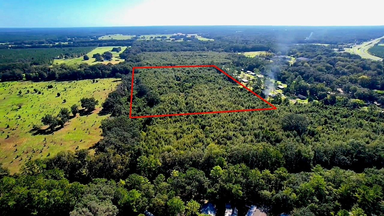 205 AVE NE, WILLISTON, FL, 32696