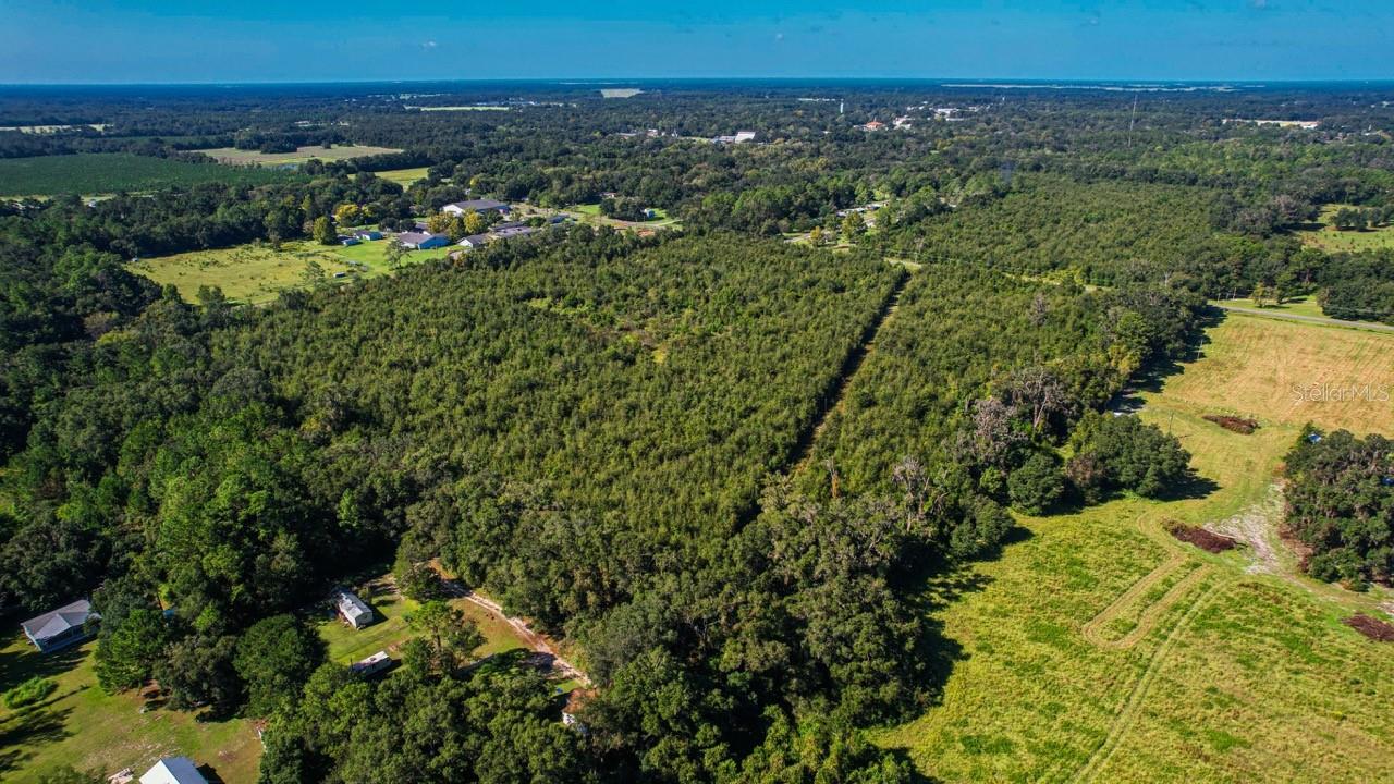 205 AVE NE, WILLISTON, FL, 32696