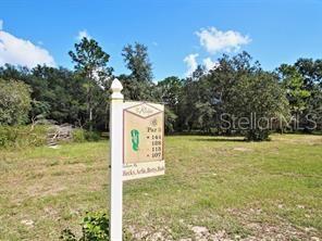 34450 WHISPERING OAKS BLVD, DADE CITY, FL, 33523