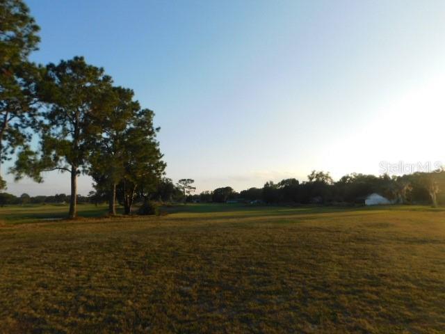 34450 WHISPERING OAKS BLVD, DADE CITY, FL, 33523