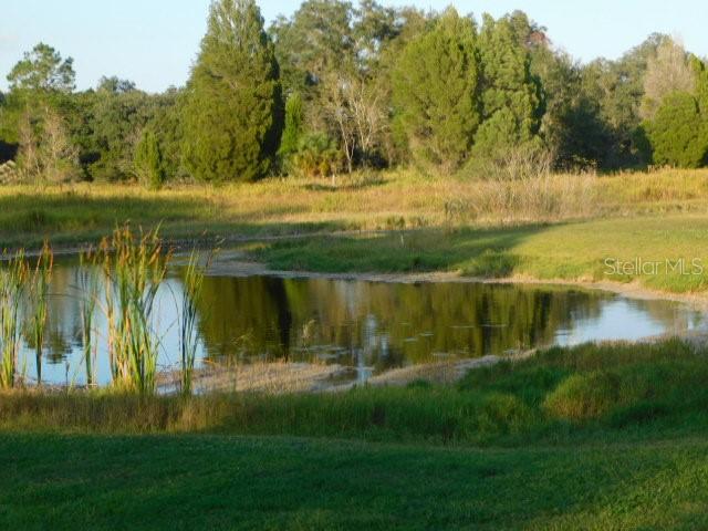 34450 WHISPERING OAKS BLVD, DADE CITY, FL, 33523