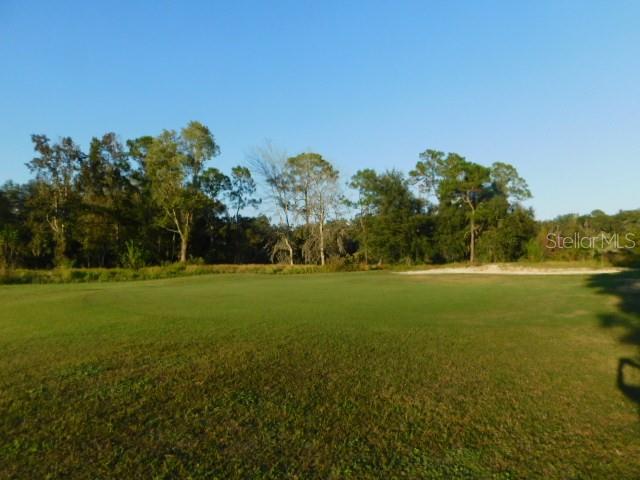 34450 WHISPERING OAKS BLVD, DADE CITY, FL, 33523