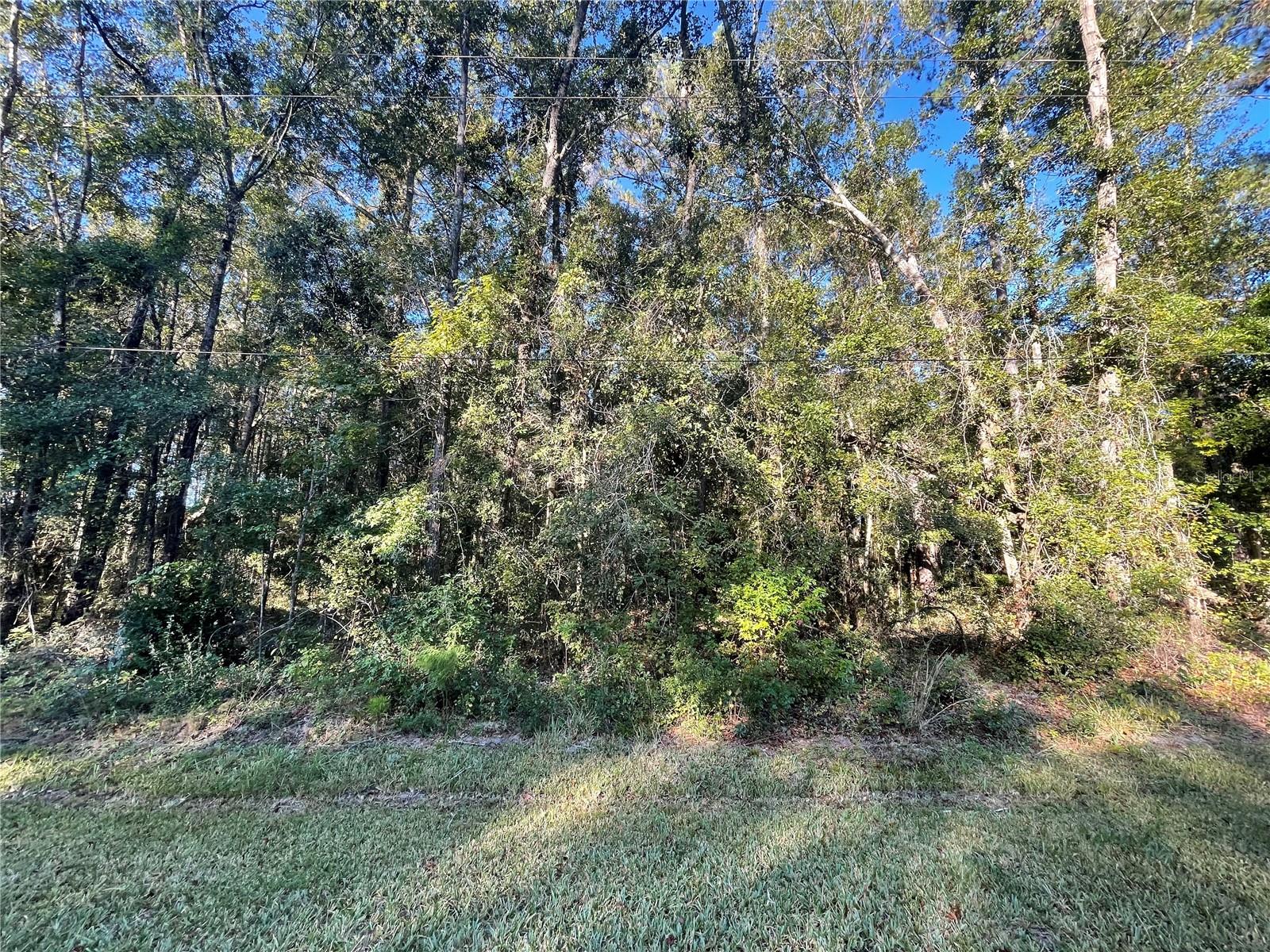 TBD SE 5TH AVE, LAKE BUTLER, FL, 32054