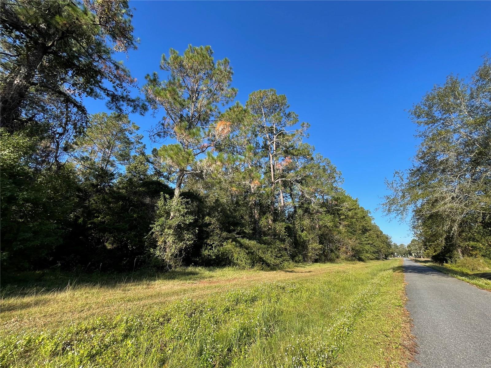 TBD SE 5TH AVE, LAKE BUTLER, FL, 32054