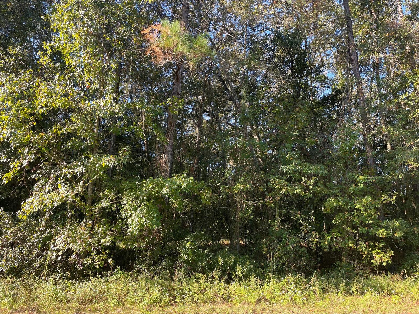 TBD SE 5TH AVE, LAKE BUTLER, FL, 32054