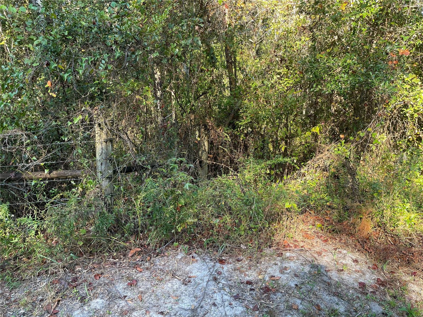 TBD SE 5TH AVE, LAKE BUTLER, FL, 32054