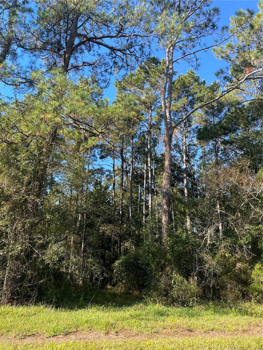 TBD SE 5TH AVE, LAKE BUTLER, FL, 32054