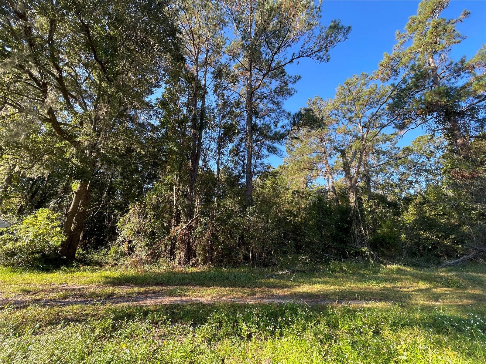 TBD SE 5TH AVE, LAKE BUTLER, FL, 32054