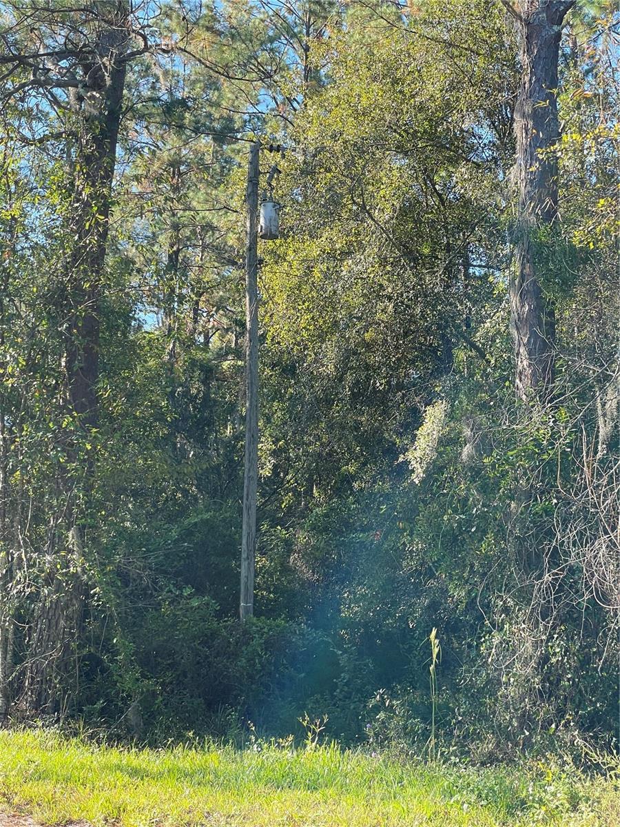 TBD SE 5TH AVE, LAKE BUTLER, FL, 32054