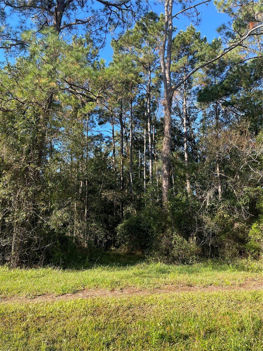 TBD SE 5TH AVE, LAKE BUTLER, FL, 32054