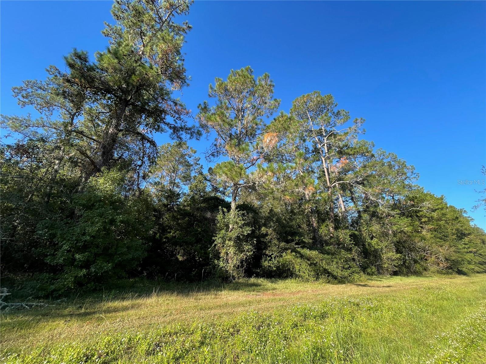 TBD SE 5TH AVE, LAKE BUTLER, FL, 32054
