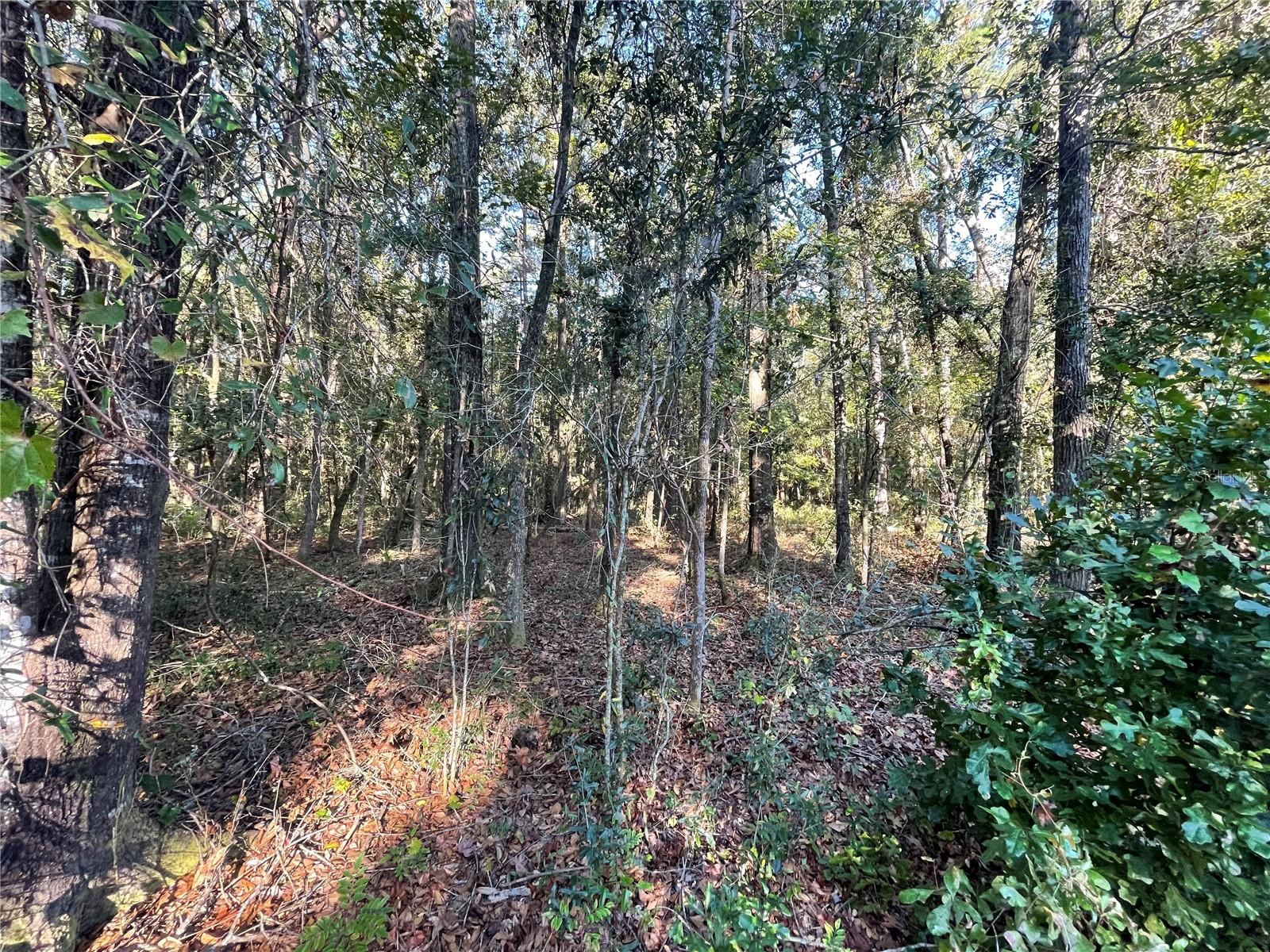 TBD SE 5TH AVE, LAKE BUTLER, FL, 32054