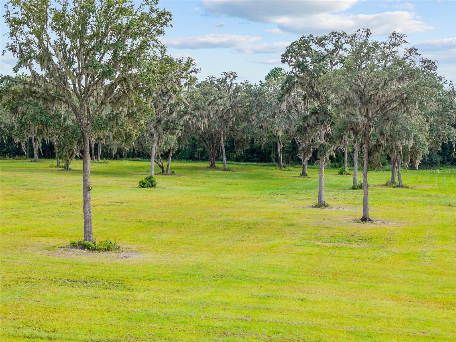 TBD W 316 HWY, REDDICK, FL, 32686