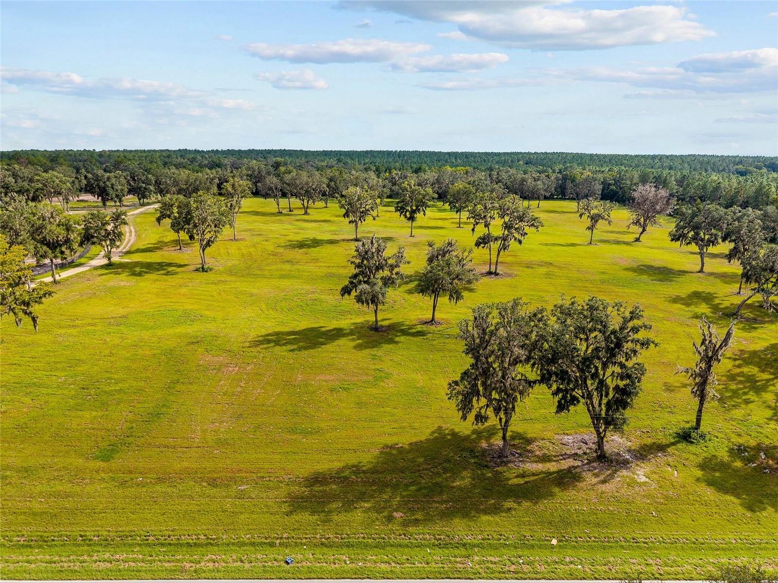 TBD W 316 HWY, REDDICK, FL, 32686