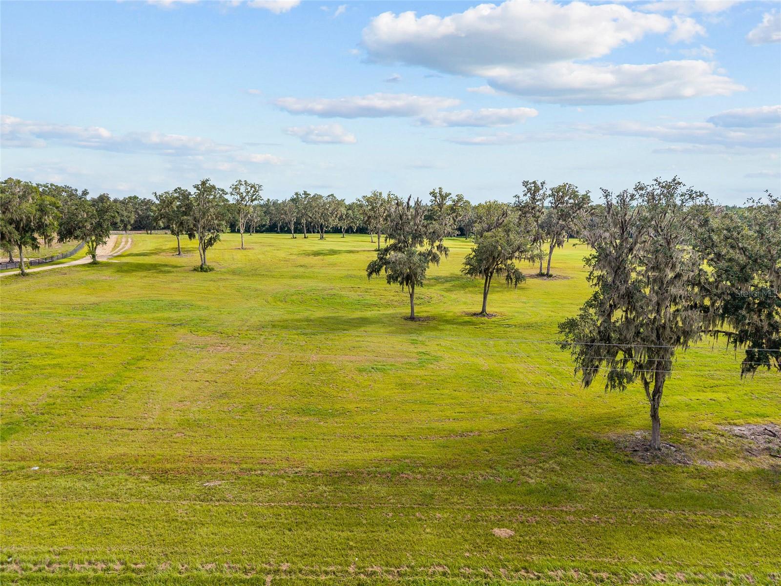 TBD W 316 HWY, REDDICK, FL, 32686