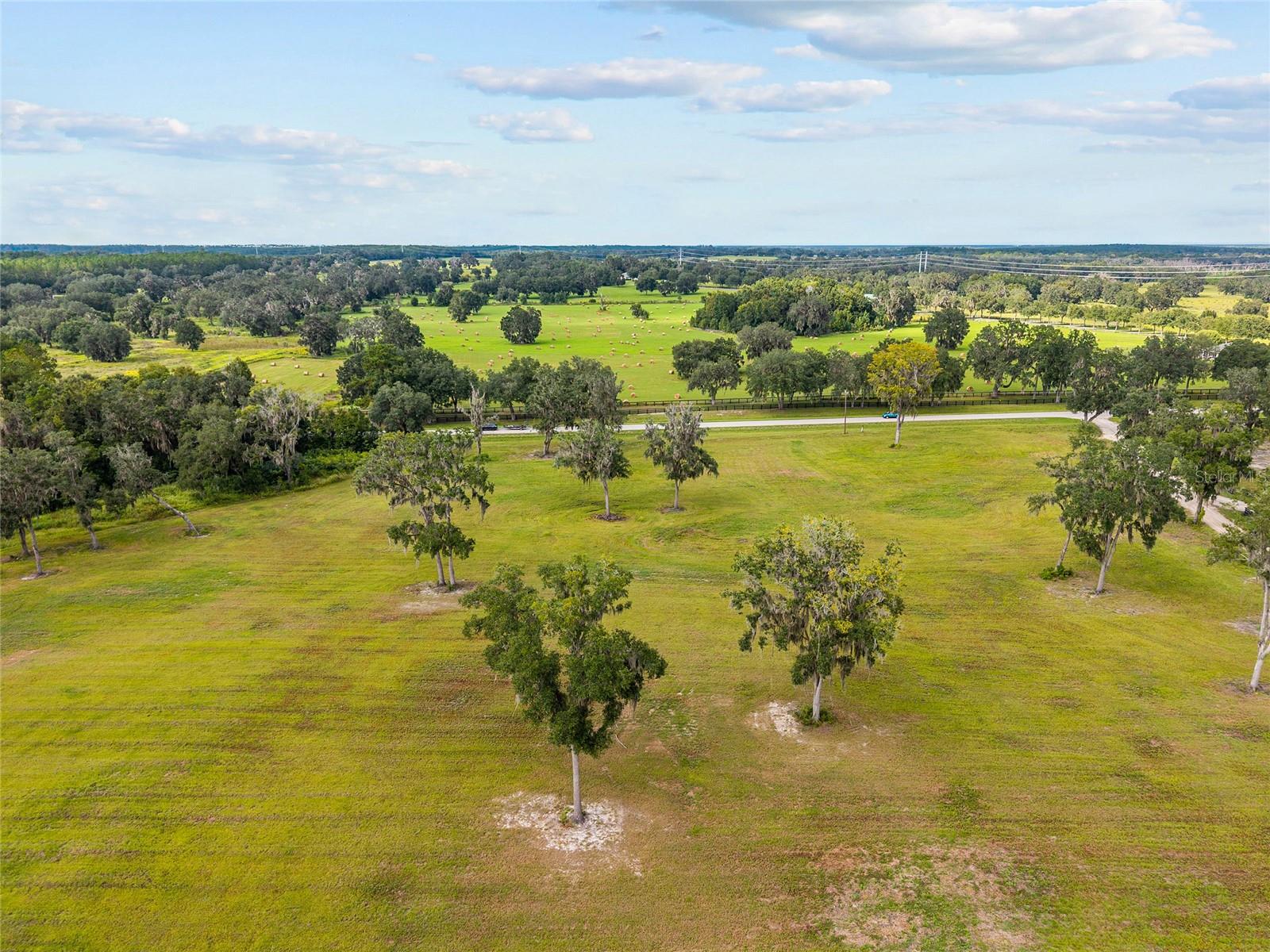 TBD W 316 HWY, REDDICK, FL, 32686