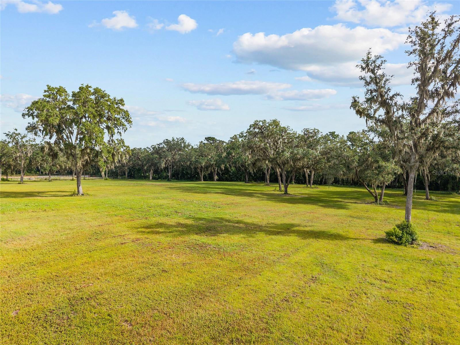 TBD W 316 HWY, REDDICK, FL, 32686