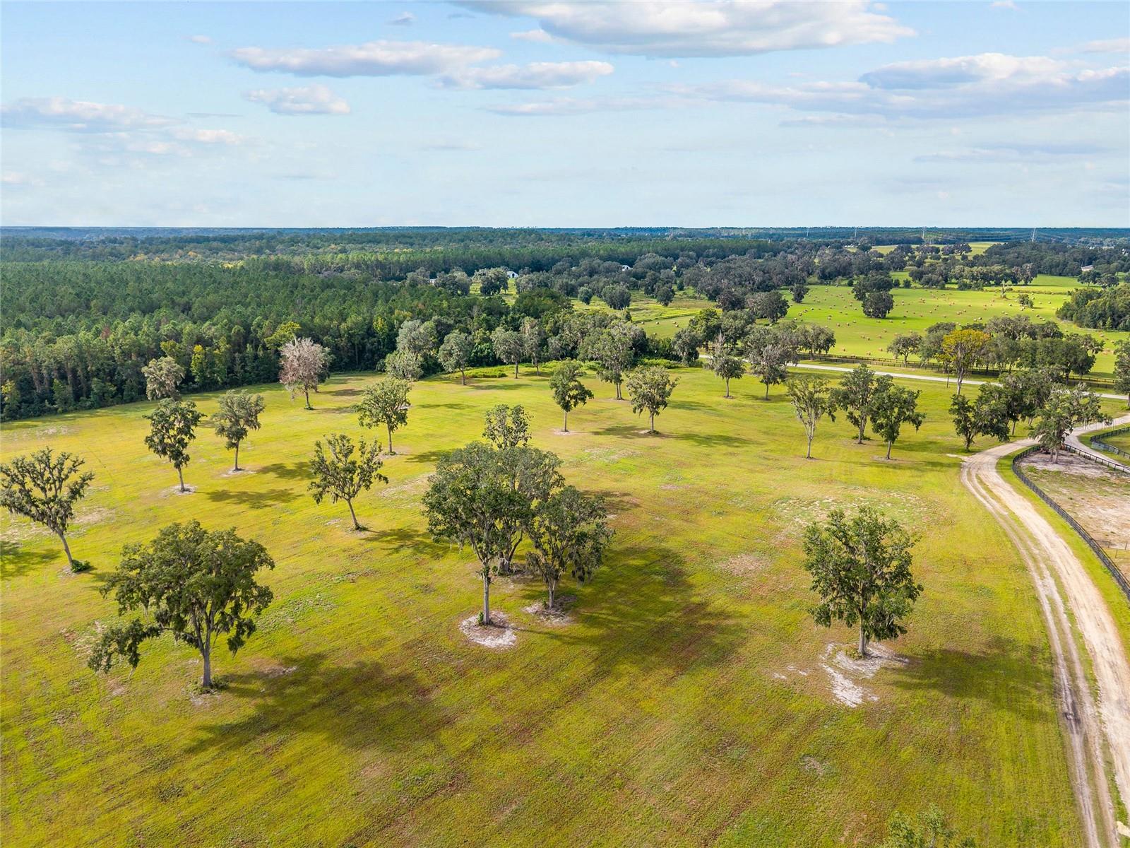TBD W 316 HWY, REDDICK, FL, 32686