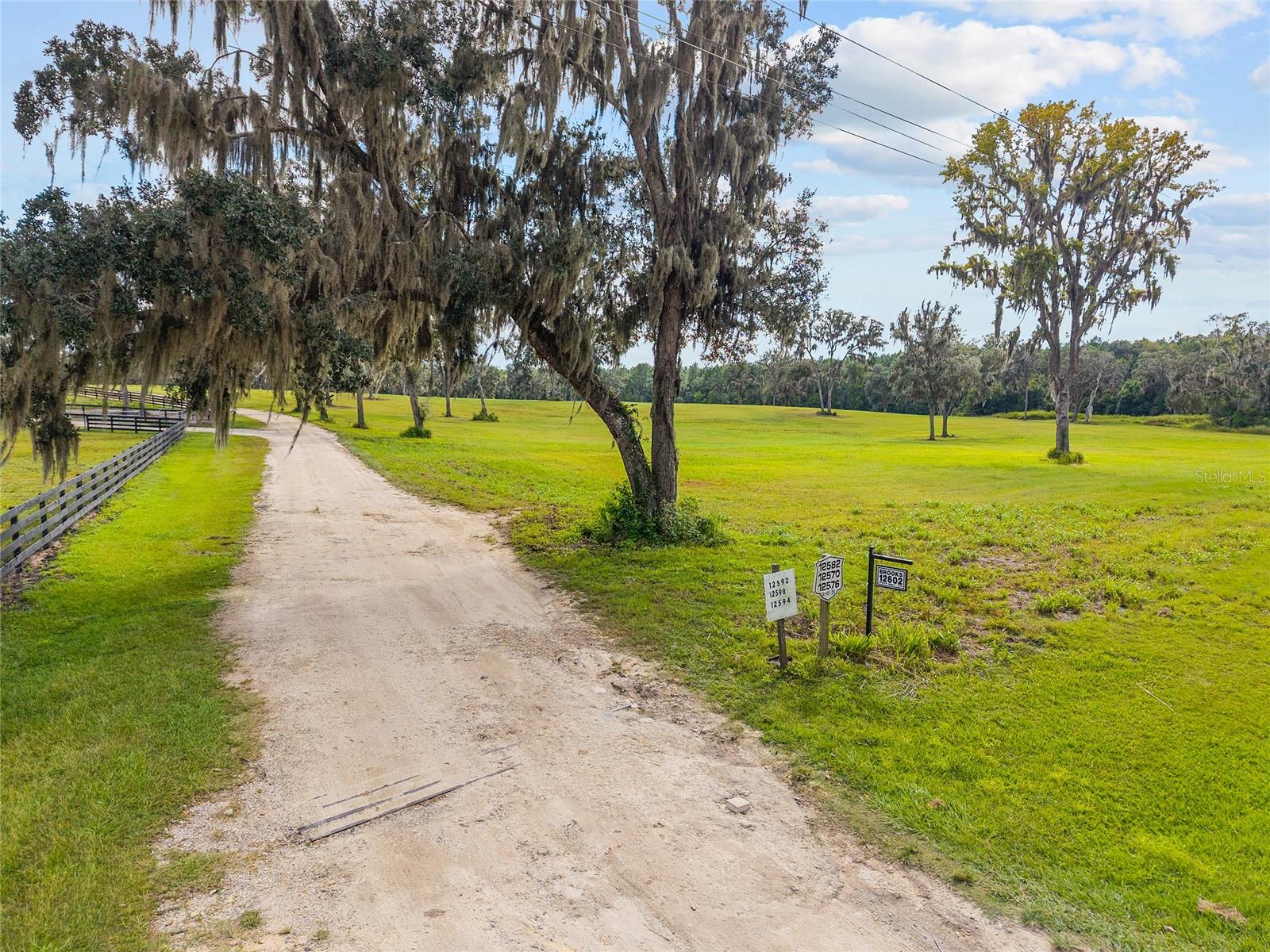 TBD W 316 HWY, REDDICK, FL, 32686