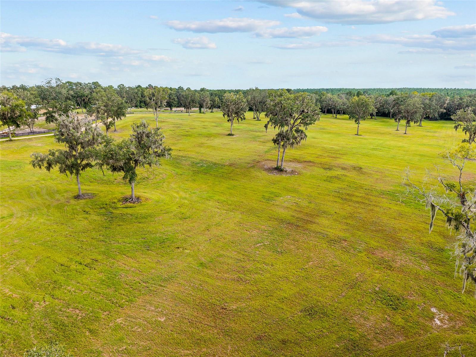 TBD W 316 HWY, REDDICK, FL, 32686