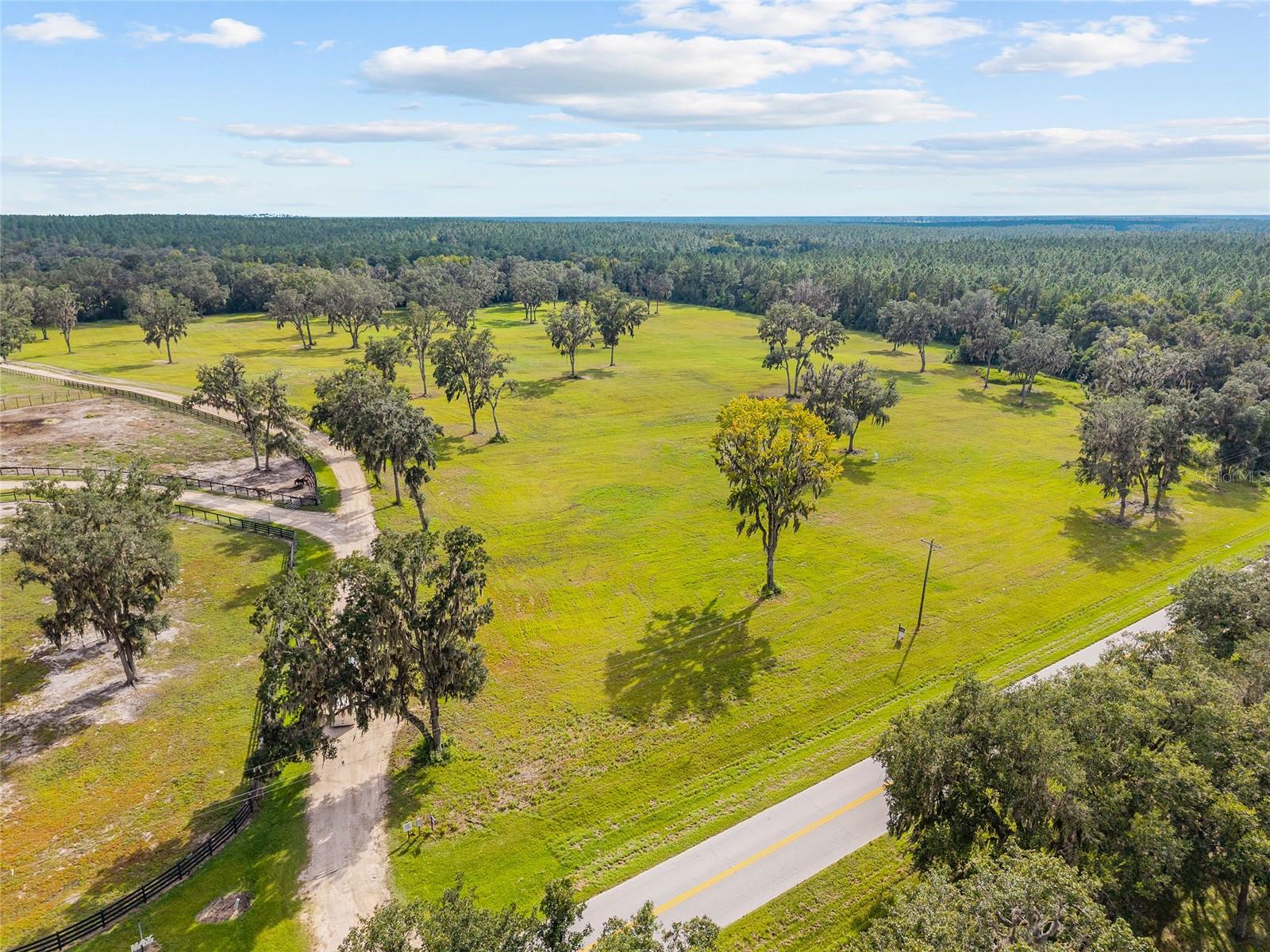 TBD W 316 HWY, REDDICK, FL, 32686