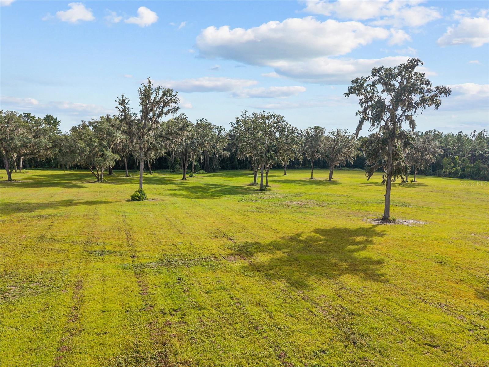 TBD W 316 HWY, REDDICK, FL, 32686