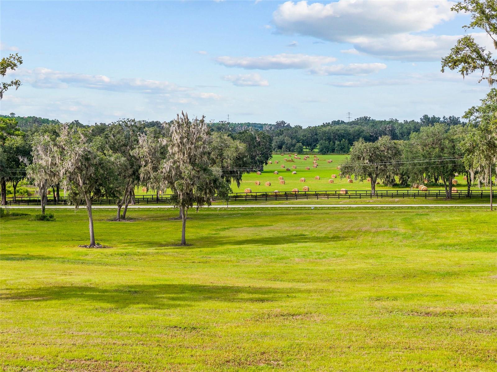 TBD W 316 HWY, REDDICK, FL, 32686