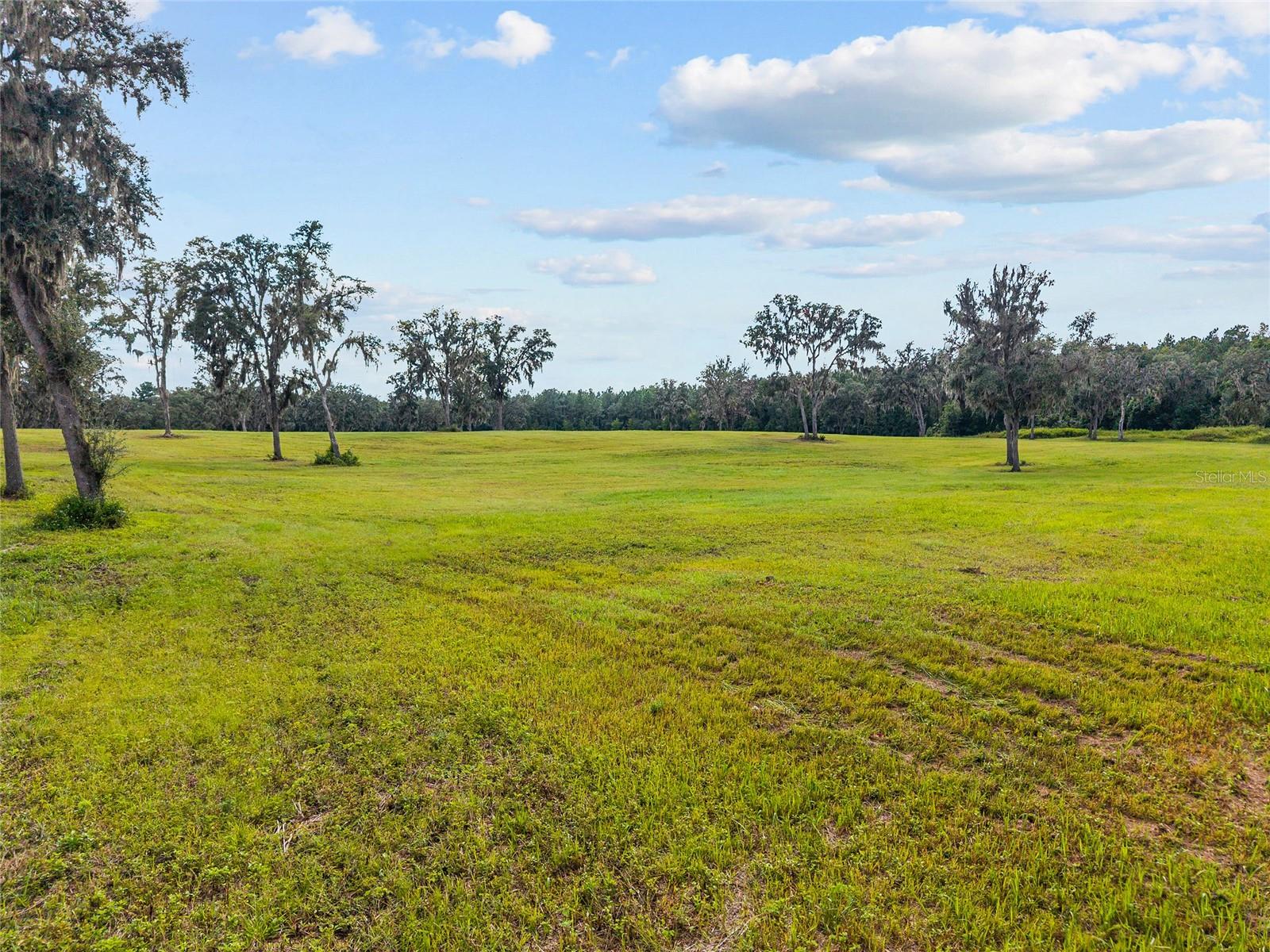 TBD W 316 HWY, REDDICK, FL, 32686