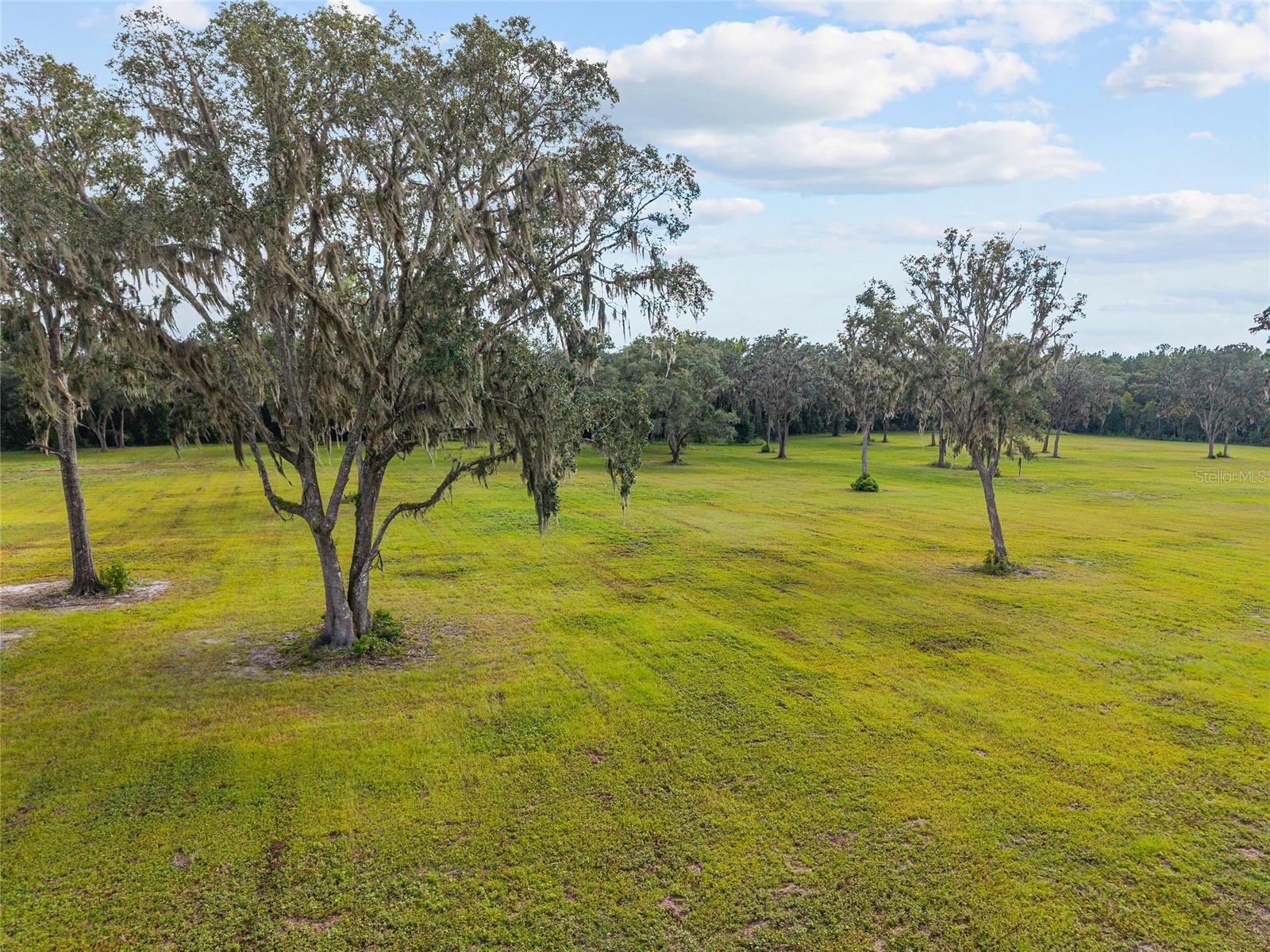 TBD W 316 HWY, REDDICK, FL, 32686