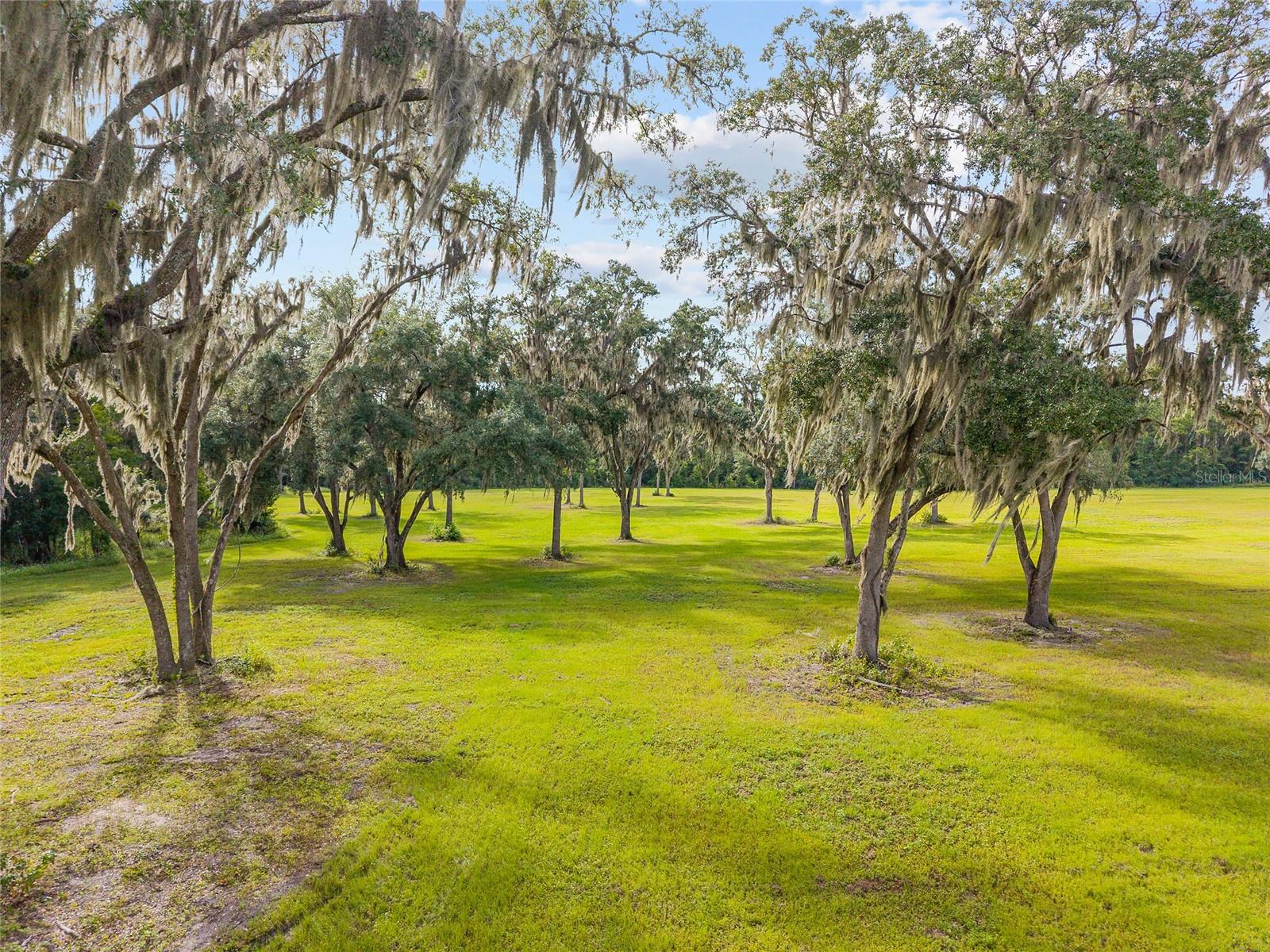 TBD W 316 HWY, REDDICK, FL, 32686