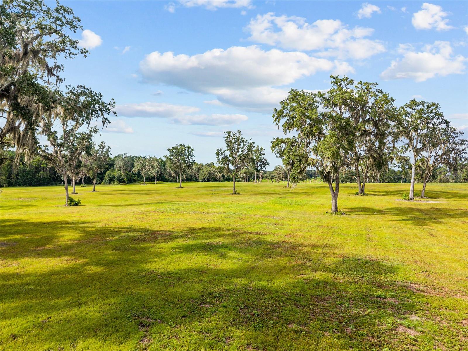 TBD W 316 HWY, REDDICK, FL, 32686