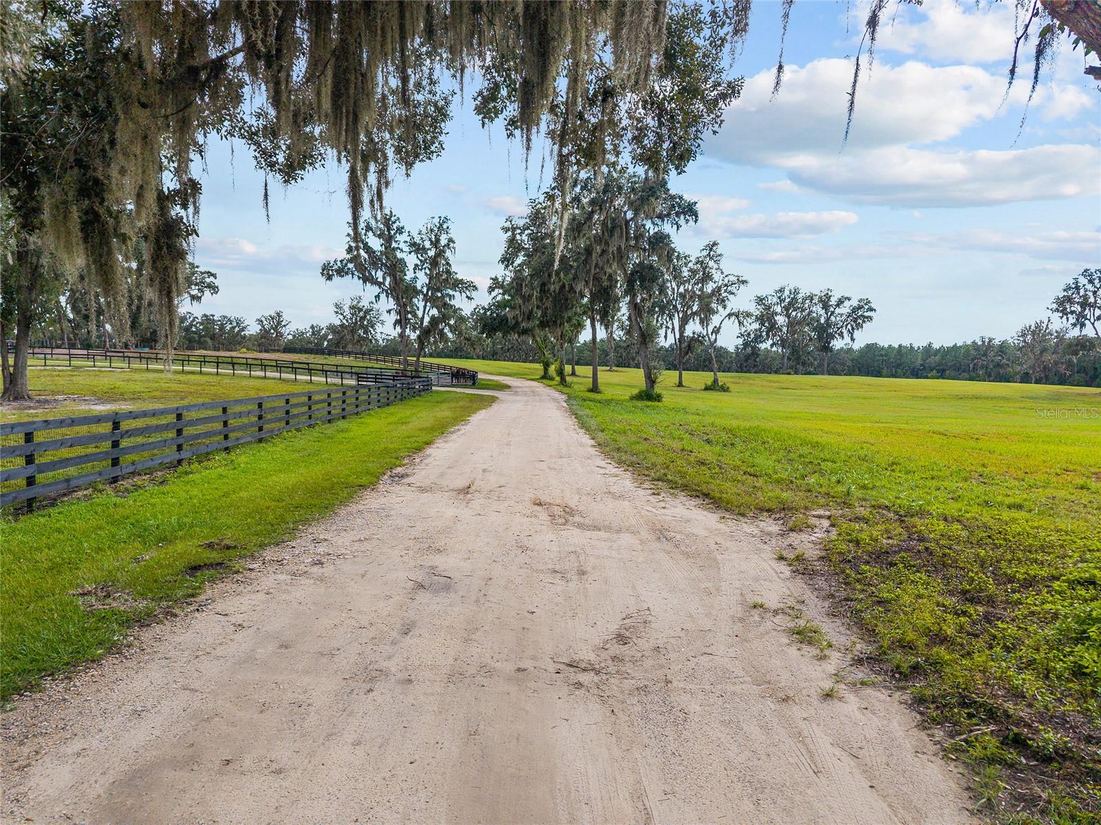 TBD W 316 HWY, REDDICK, FL, 32686