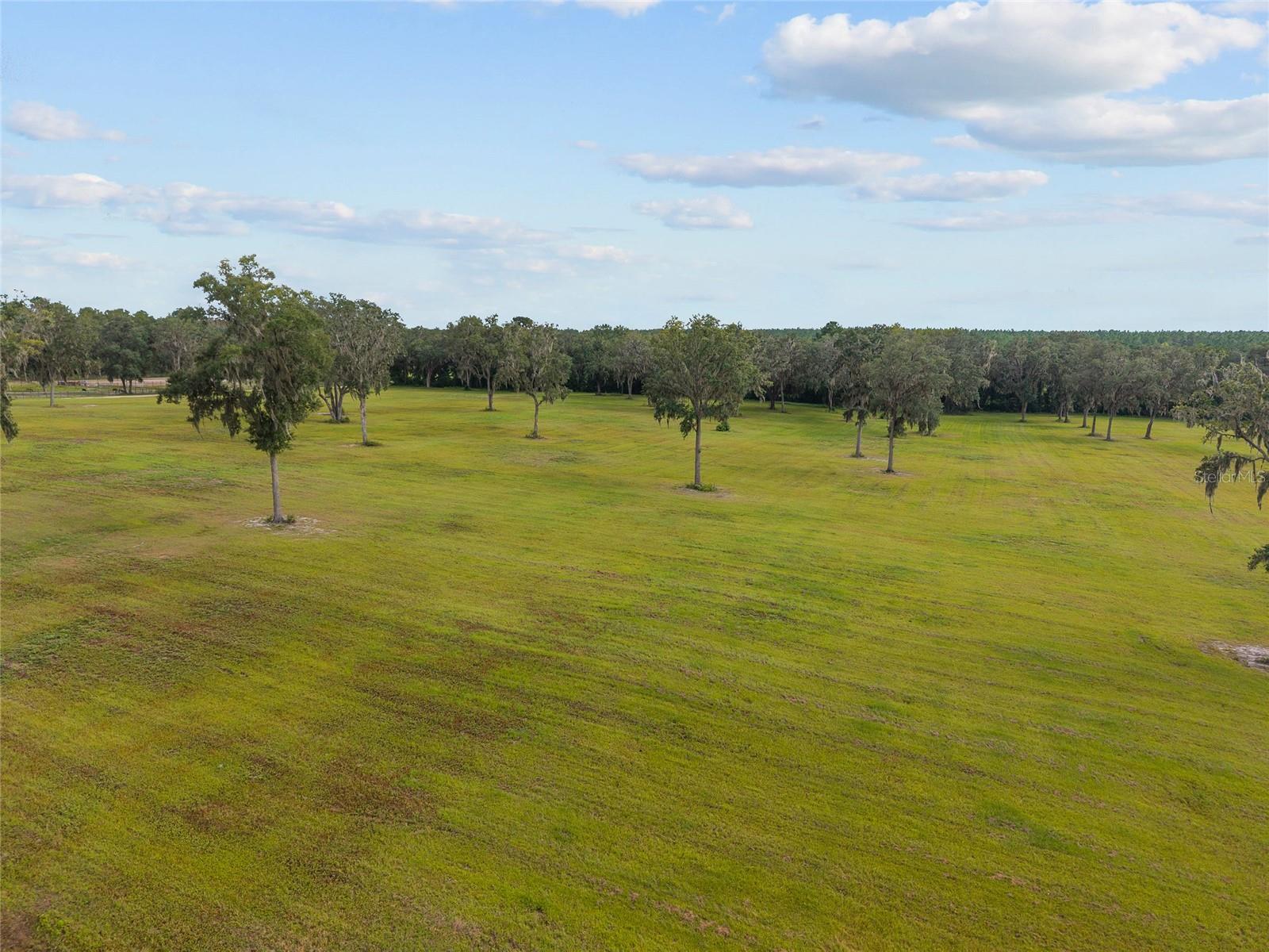 TBD W 316 HWY, REDDICK, FL, 32686