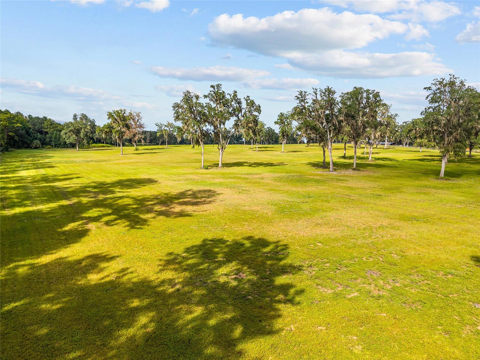 TBD W 316 HWY, REDDICK, FL, 32686