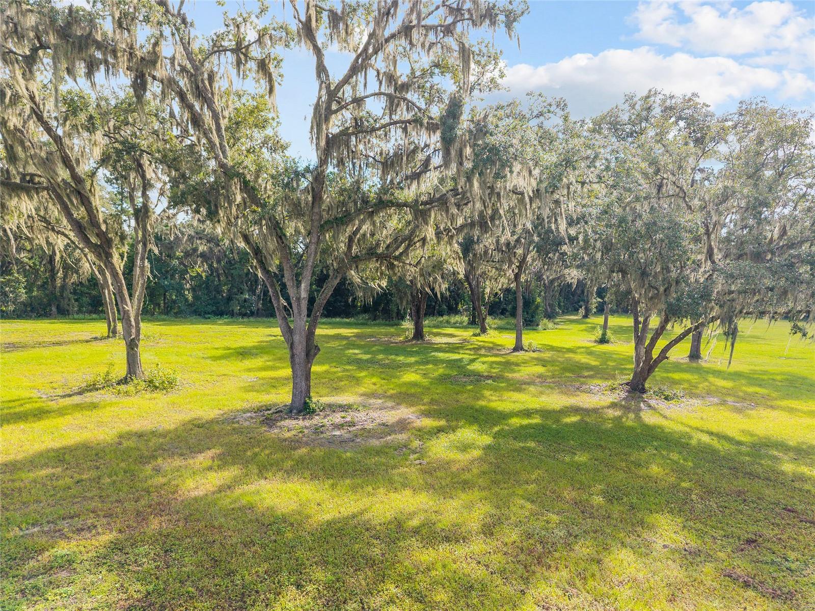 TBD W 316 HWY, REDDICK, FL, 32686