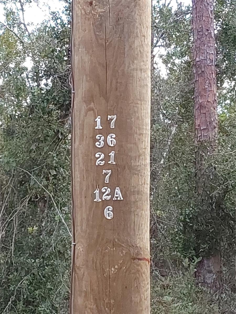 LOT 29 S SHORE DR, LAKE WALES, FL, 33898