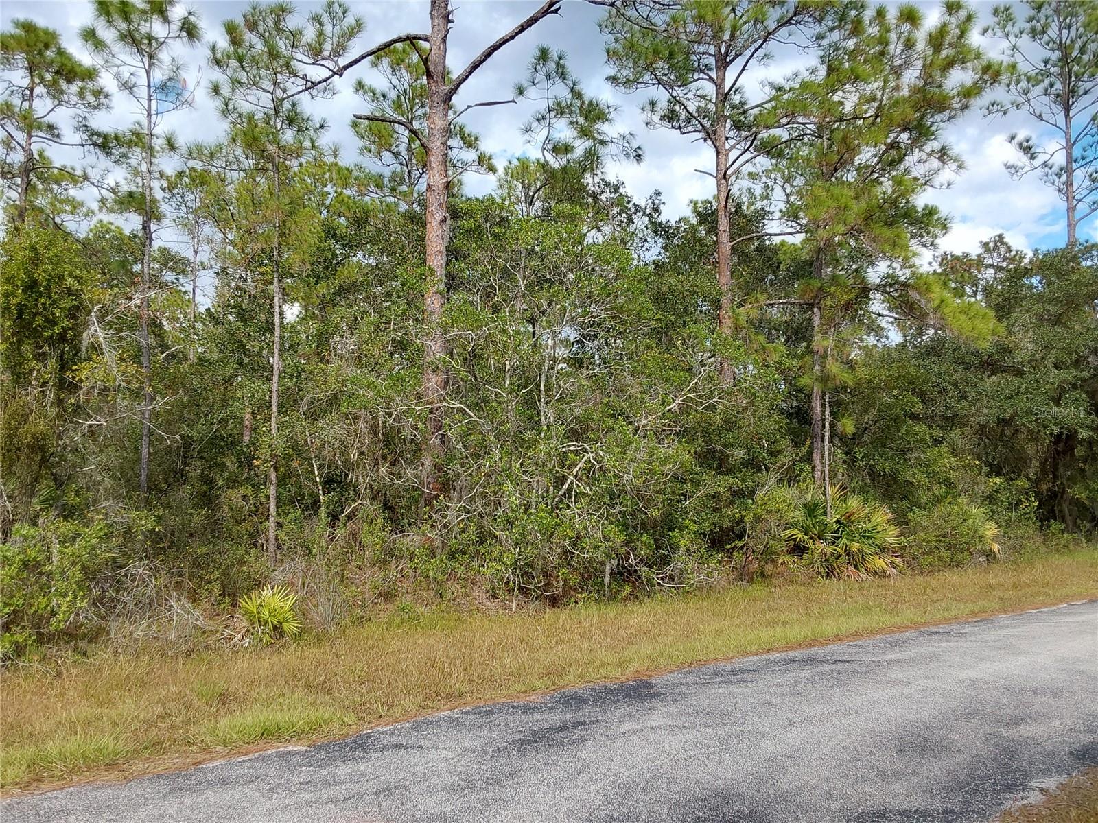 LOT 29 S SHORE DR, LAKE WALES, FL, 33898