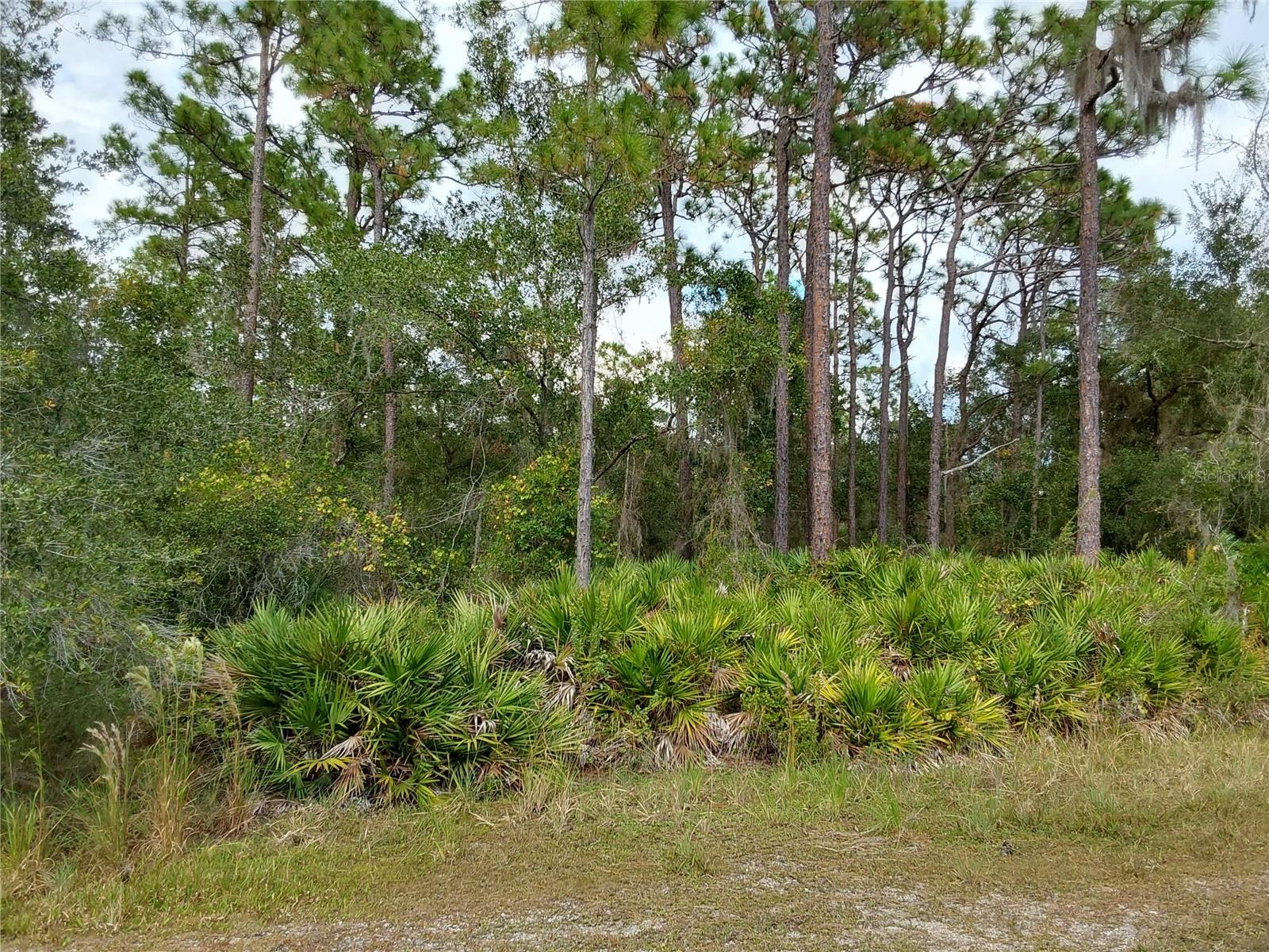 LOT 29 S SHORE DR, LAKE WALES, FL, 33898