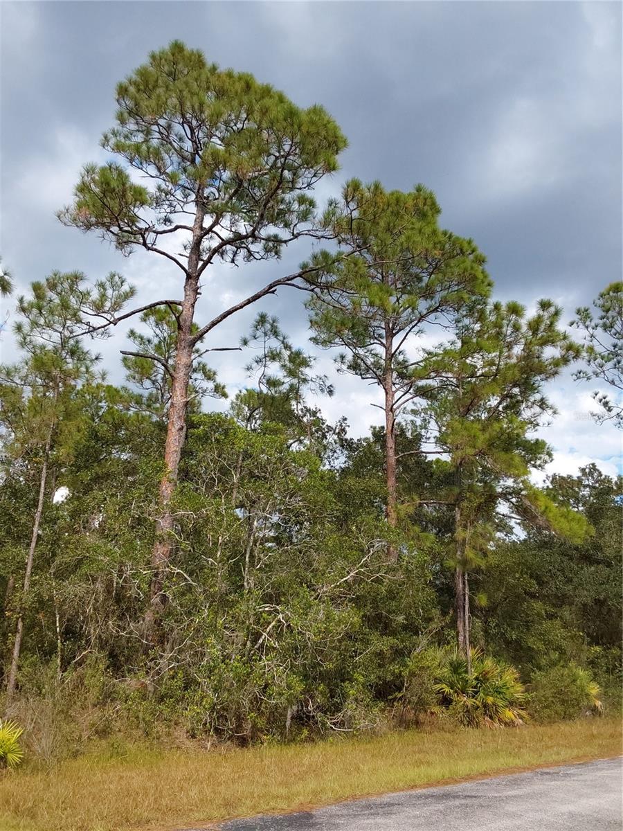 LOT 29 S SHORE DR, LAKE WALES, FL, 33898