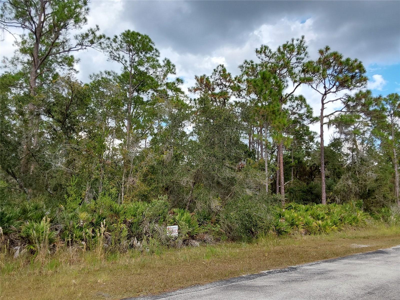 LOT 29 S SHORE DR, LAKE WALES, FL, 33898