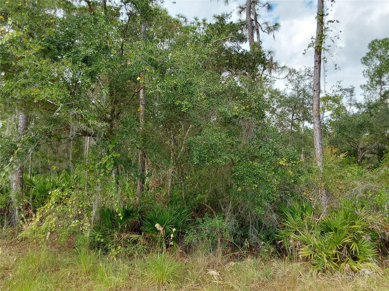 LOT 29 S SHORE DR, LAKE WALES, FL, 33898