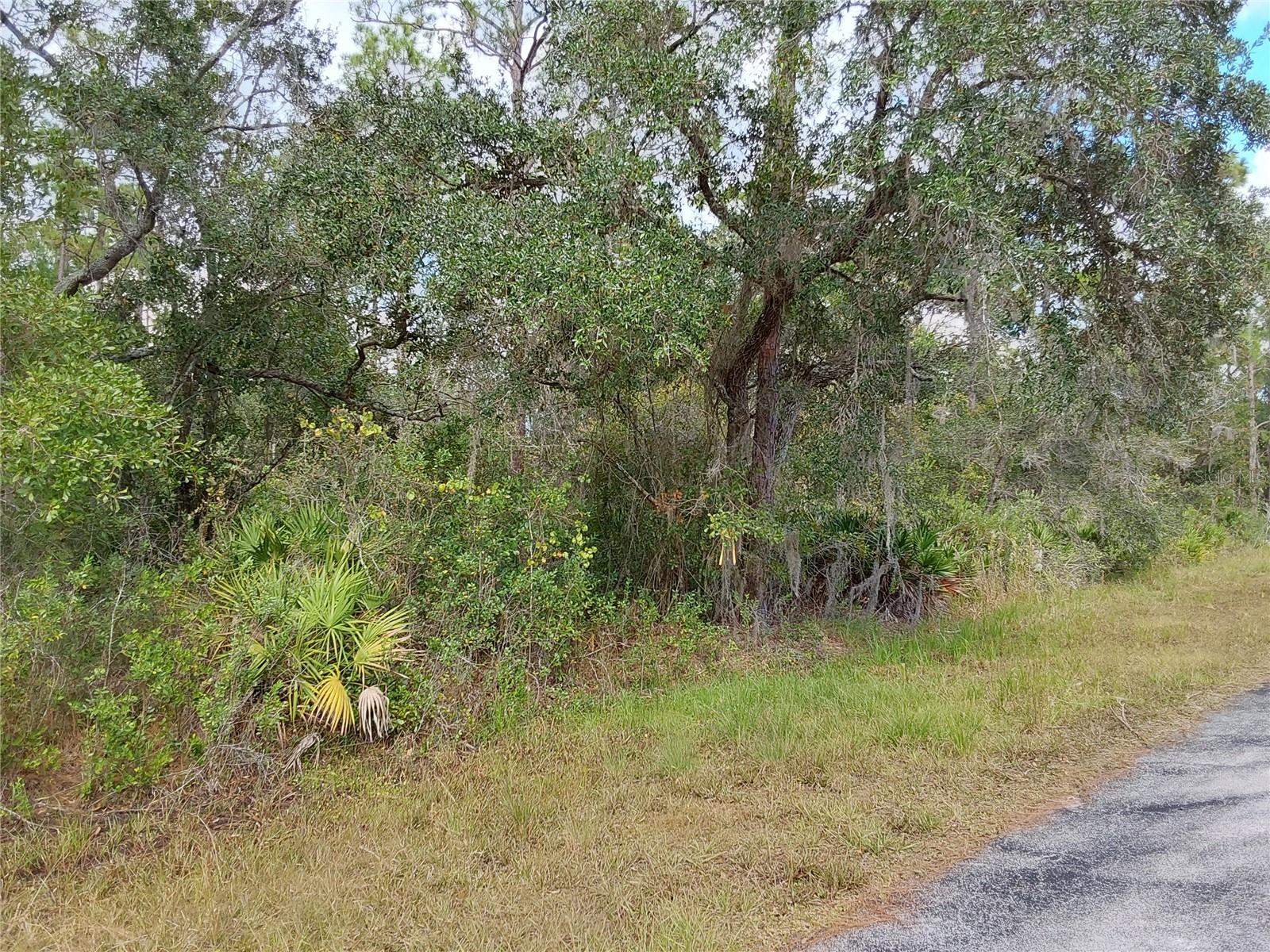 LOT 29 S SHORE DR, LAKE WALES, FL, 33898