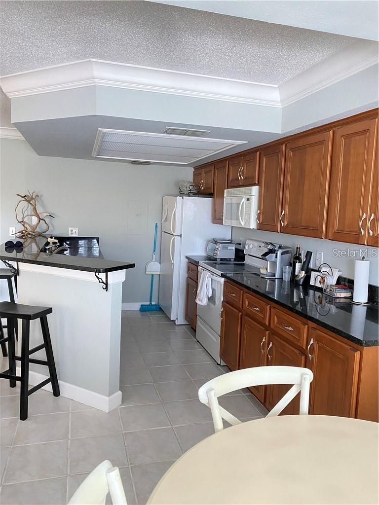 1125 PINELLAS BAYWAY S #201 furnished, TIERRA VERDE, FL, 33715