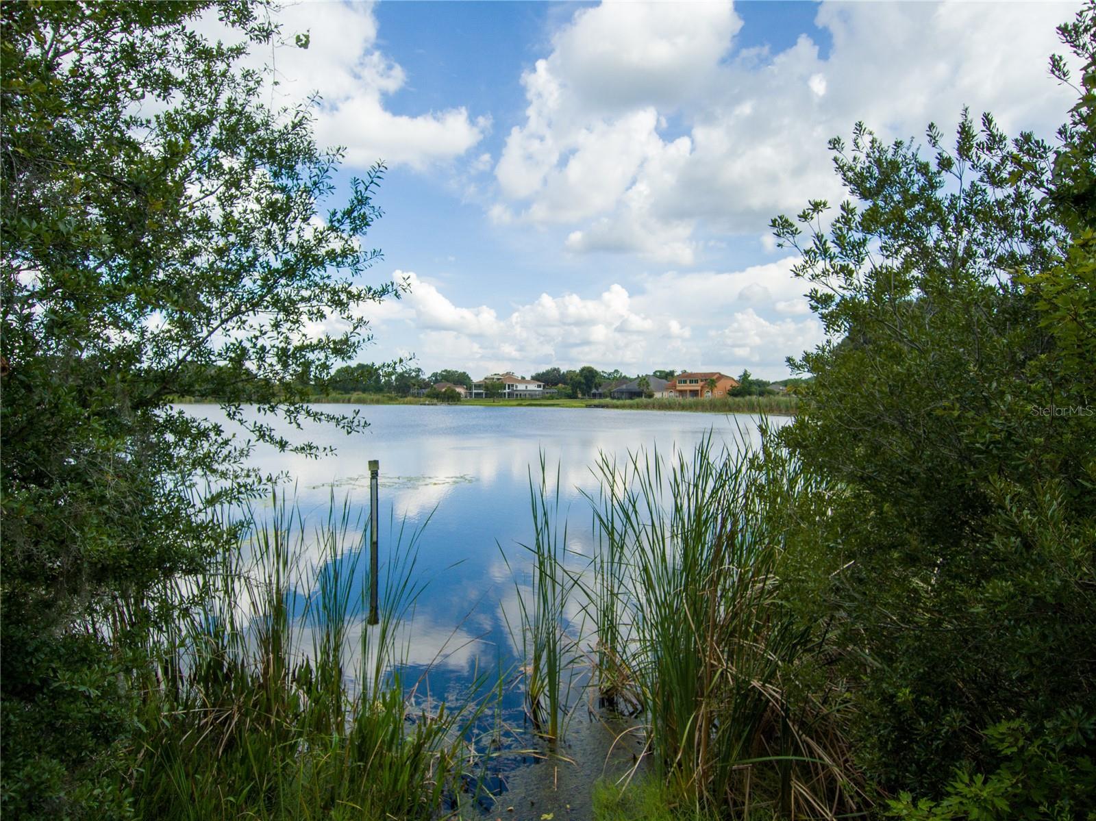 CARSON DR, LAND O LAKES, FL, 34639